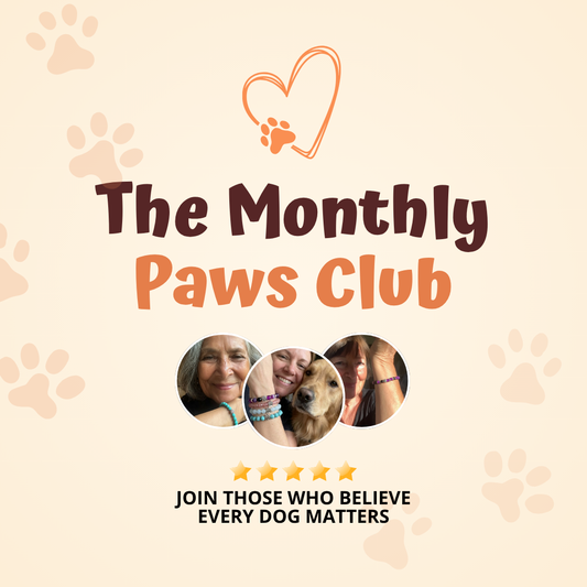 The Monthly Pets Club