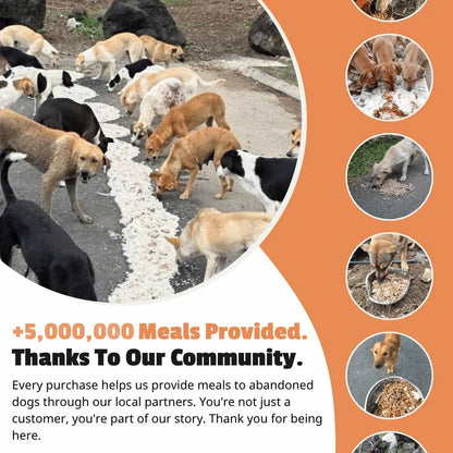 Bracelet Set (Blossom + Arctic + Mystic)