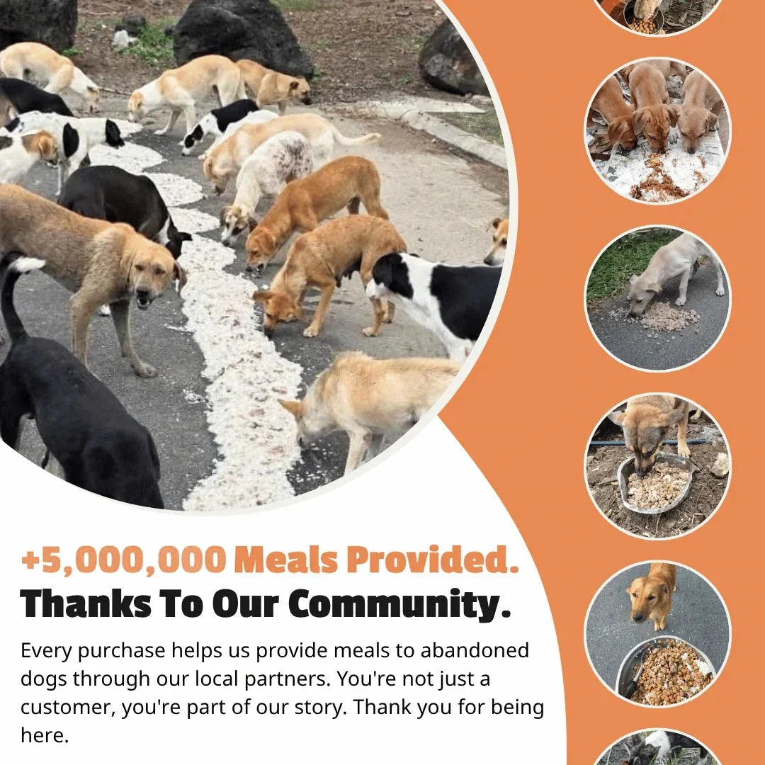 Coral Reef (Set of 3 Tile Bracelets)
