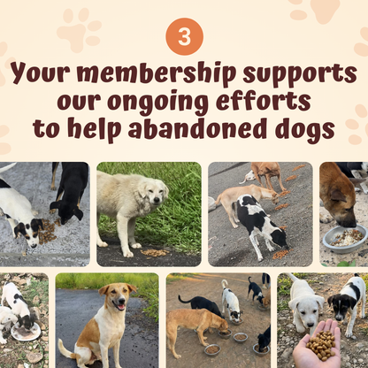 The Monthly Pets Club