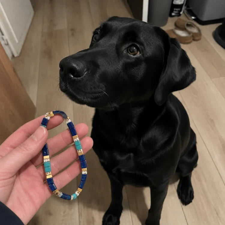 A tile bead bracelet held beside a dog